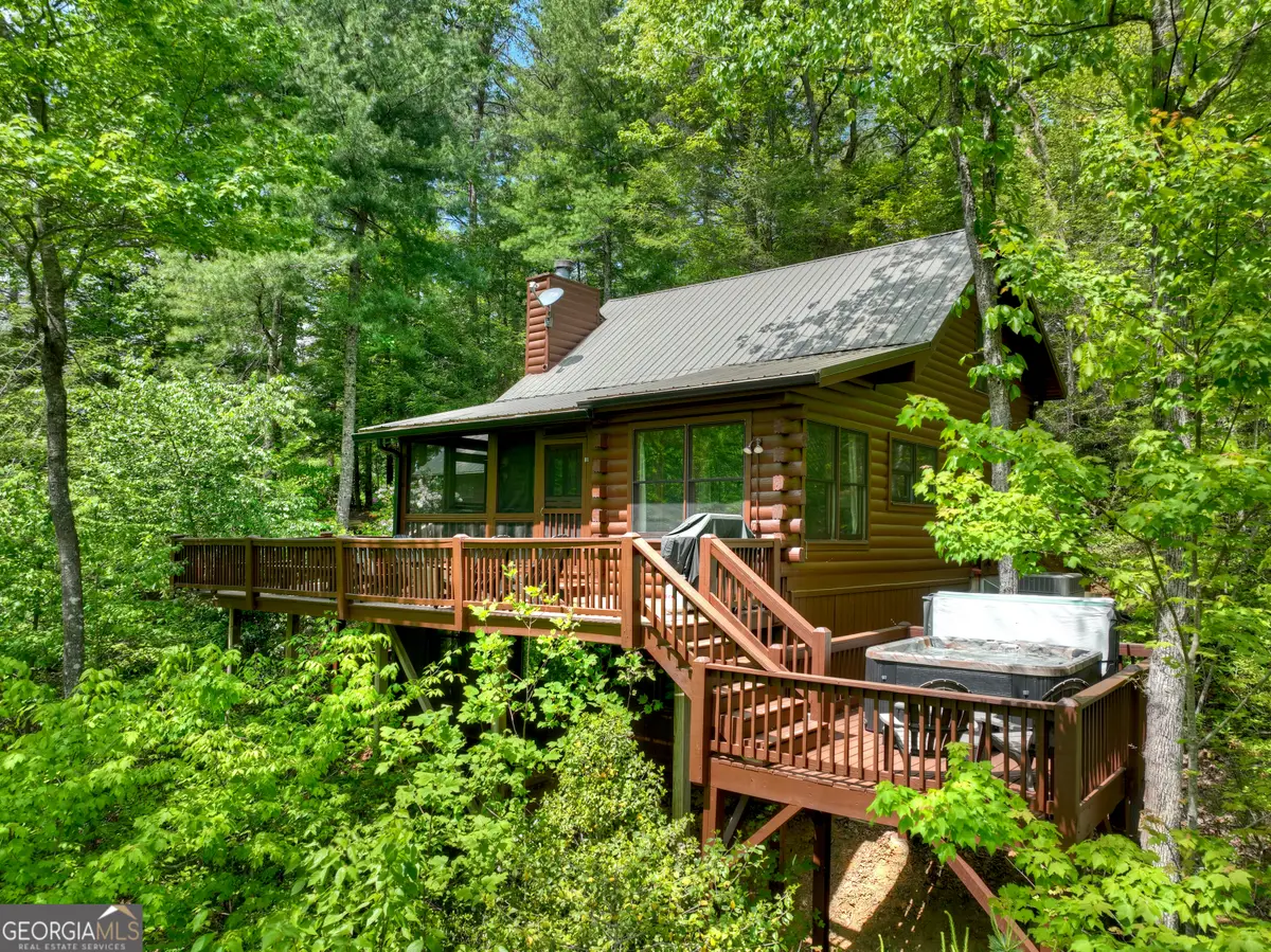 1822 Hidden Lake Drive, Cherry Log, GA 30522 - #1