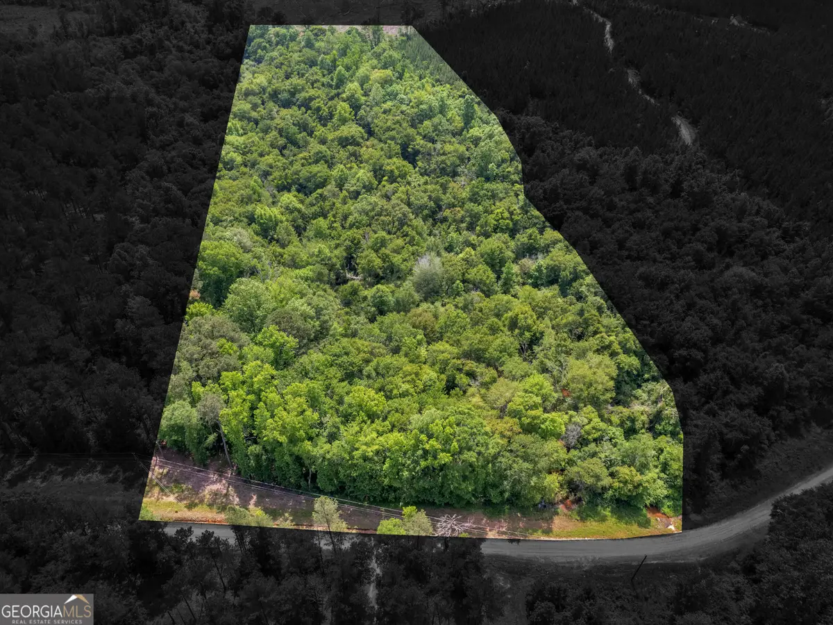 0 Perkins Road, Barnesville, GA 30204 - #1