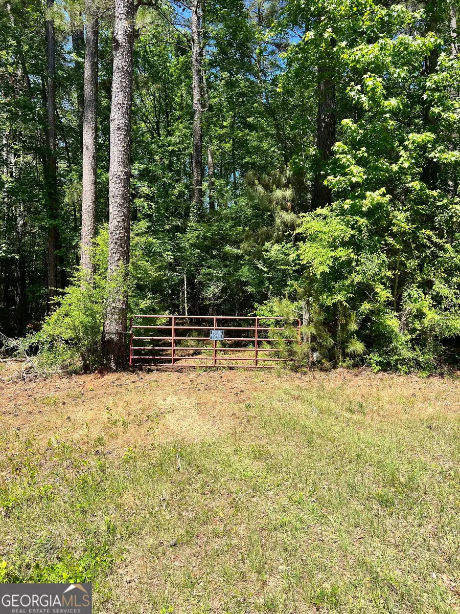 0 Lyneville Road, Crawfordville, GA 30631 - #3