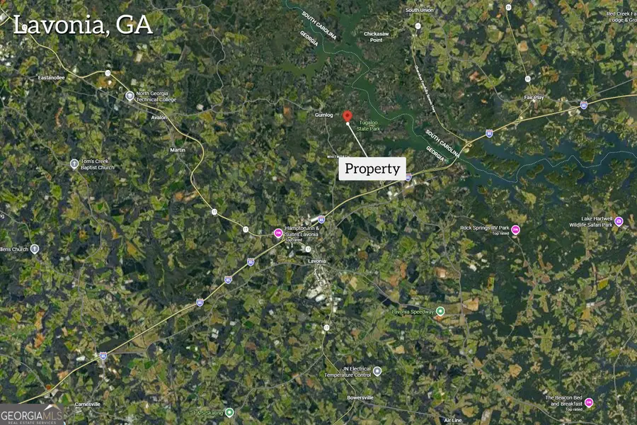 440 Knottywood Drive, Lavonia, GA 30553 - #3