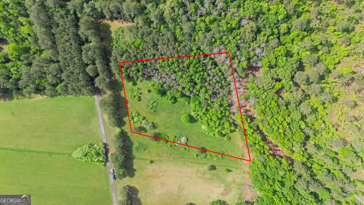 3ACRES Satcher Rd, Taylorsville, GA 30178 - #1