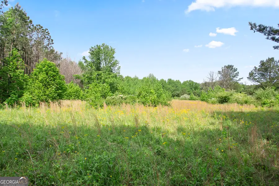 3ACRES Satcher Rd, Taylorsville, GA 30178 - #2