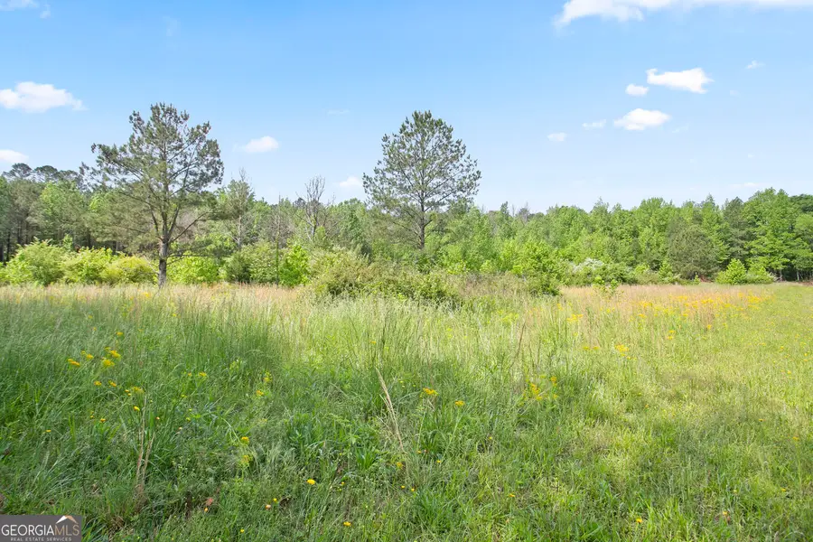 3ACRES Satcher Rd, Taylorsville, GA 30178 - #3