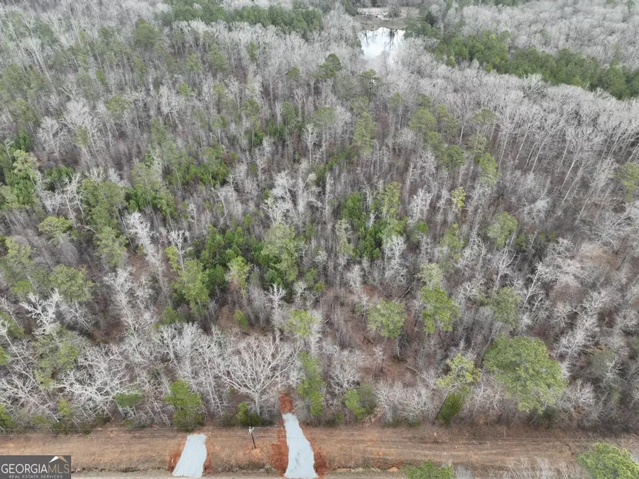 183 Rock Creek Road, Flovilla, GA 30216 - #3
