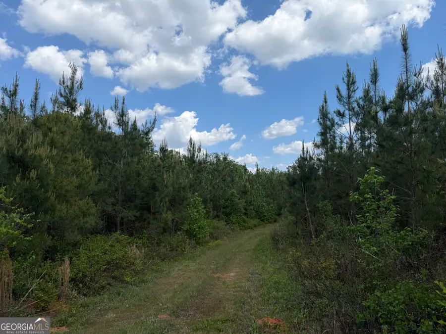 0077 George Milling Road, Cuthbert, GA 39840 - #3