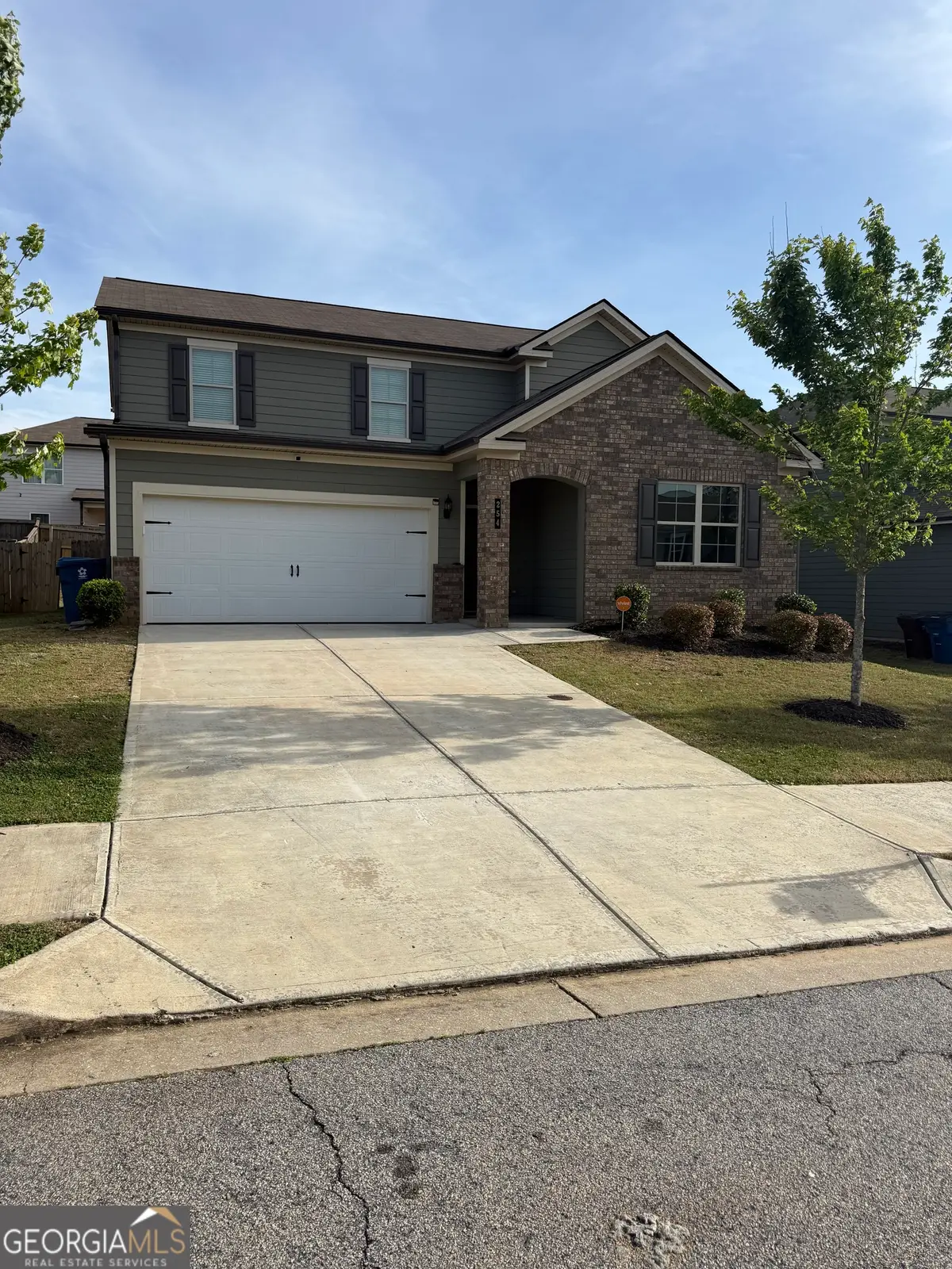 254 Hamilton Pointe Drive, McDonough, GA 30253 - #1