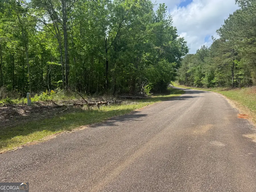 0 County Road 865, Roanoke, AL 36274 - #2