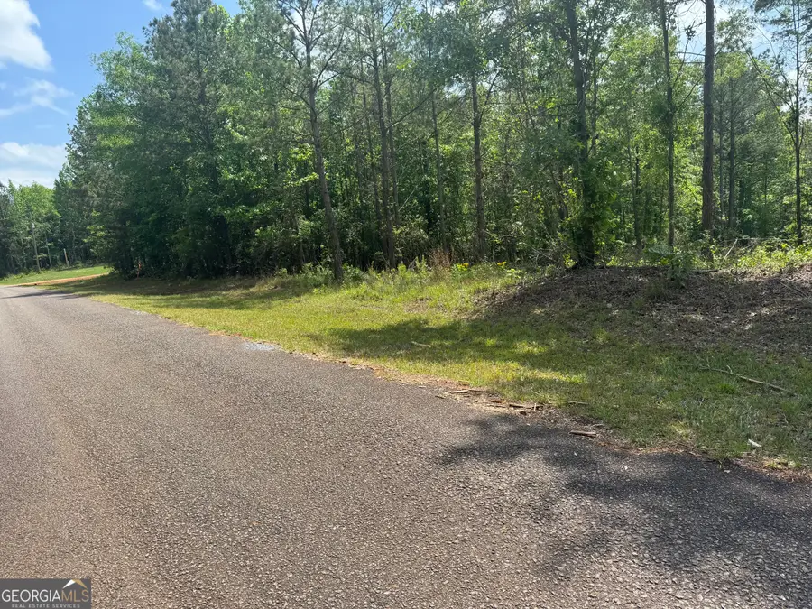 0 County Road 865, Roanoke, AL 36274 - #3