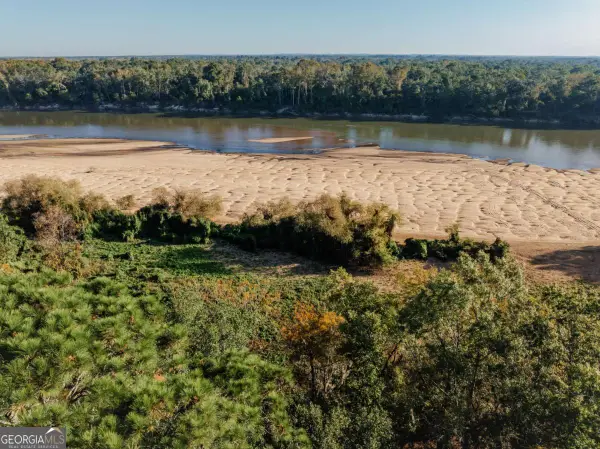 0 Eagles Point #LOT 8, Surrency, GA 31563