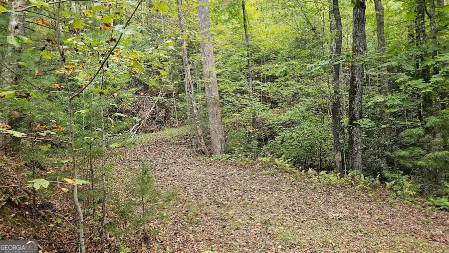 0 Bob Hoover #LOT 78, Clayton, GA 30525 - #3
