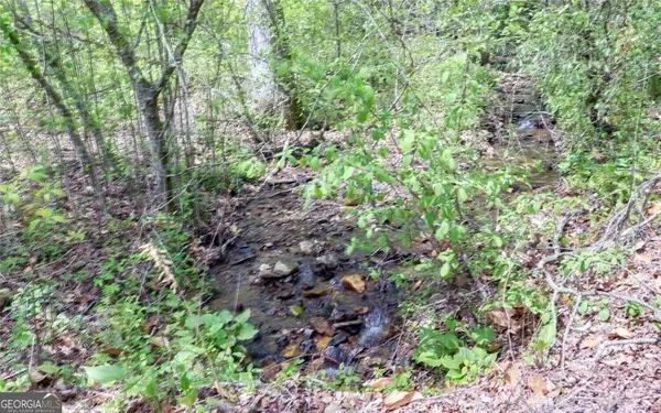 TRACT 2 Clayton Gooch Road, Dahlonega, GA 30533
