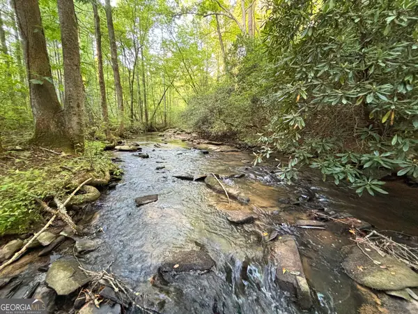 443 Mt Springer Road, Ellijay, GA 30540