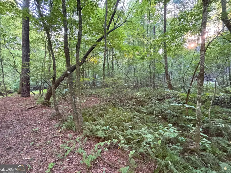 443 Mt Springer Road, Ellijay, GA 30540 - #2