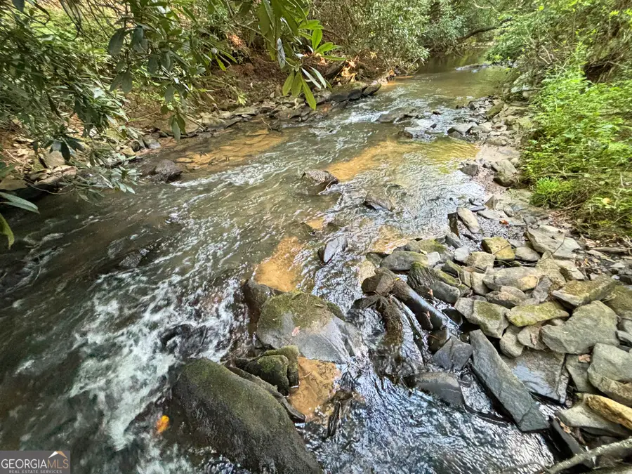 443 Mt Springer Road, Ellijay, GA 30540 - #3