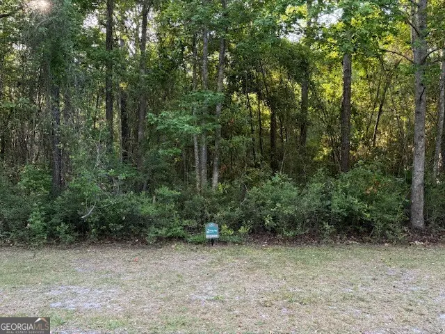 V/L 21 Lighthouse Circle, Woodbine, GA 31569 - #1