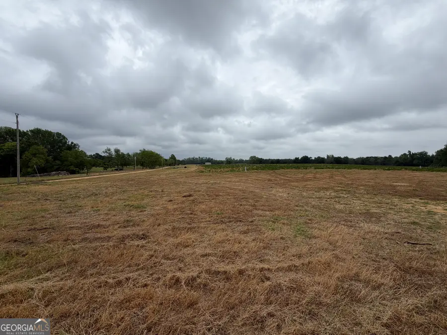 452 Lb Hall Road, Garfield, GA 30425 - #2