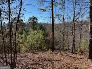0 High Mile Ln, Blairsville, GA 30512 - #2