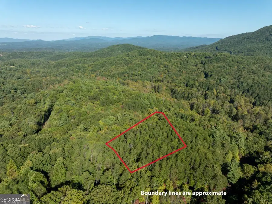 TRACT 1 Turniptown Road, Ellijay, GA 30536 - #3