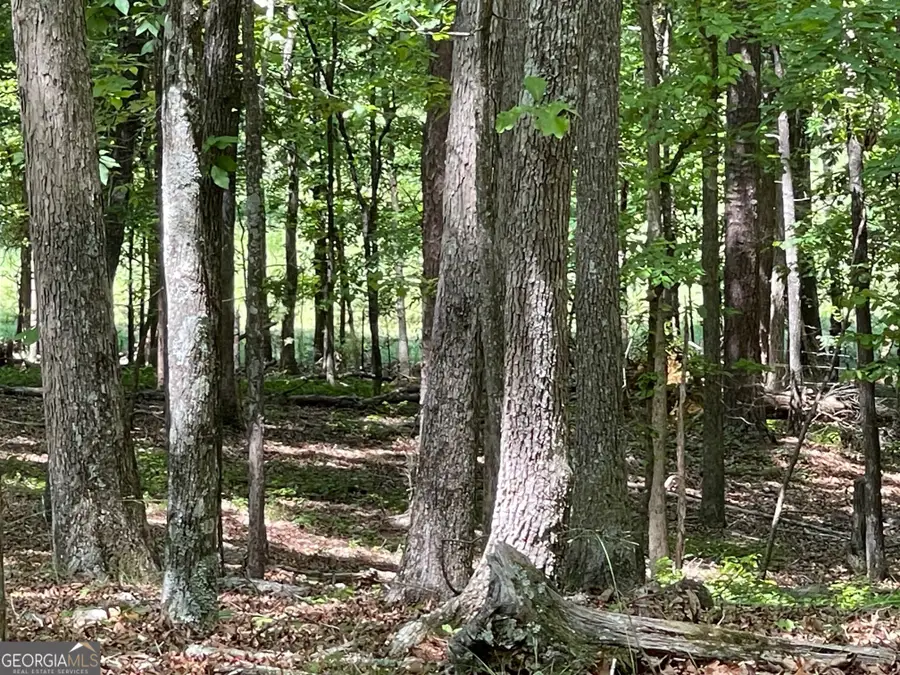 LOT 2& 3 Chalcrest Way, Cave Spring, GA 30124 - #2