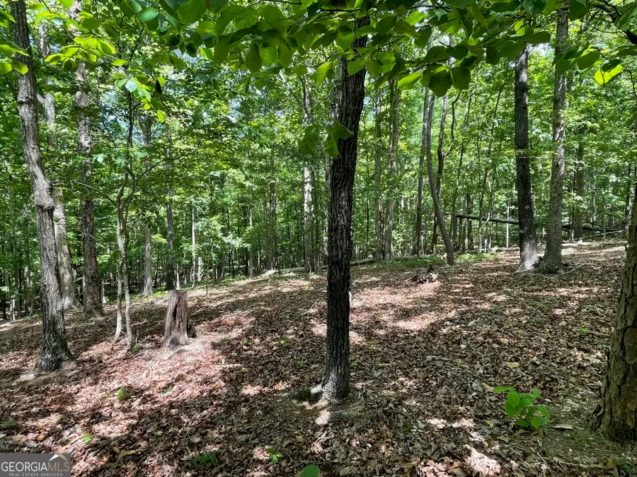 LOT 2& 3 Chalcrest Way, Cave Spring, GA 30124 - #3