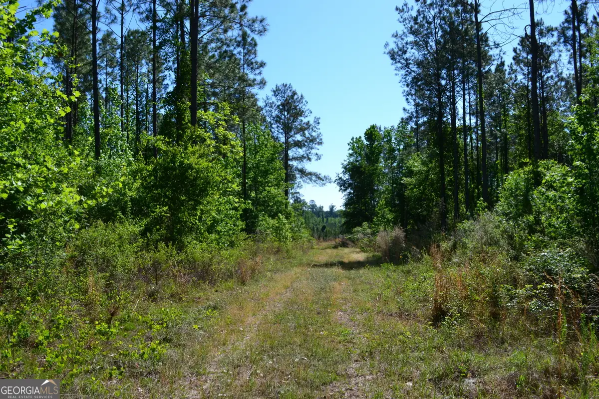 0 Scotland Road, Dublin, GA 31021 - #1