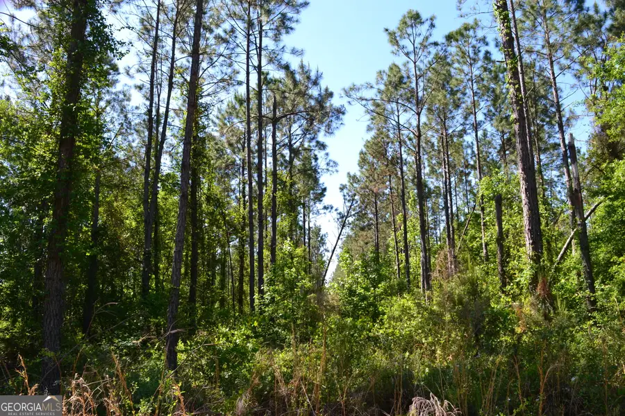 0 Scotland Road, Dublin, GA 31021 - #2
