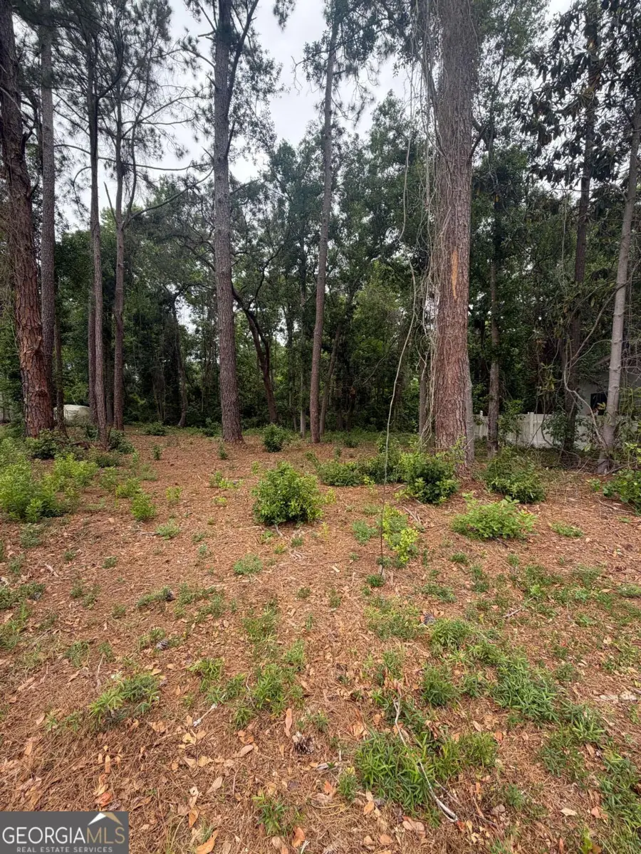 134 Palmera Lane, Brunswick, GA 31520 - #3