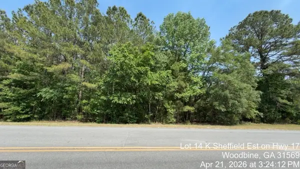 LOT 14 K Sheffield Est On Hwy 17, Woodbine, GA 31569