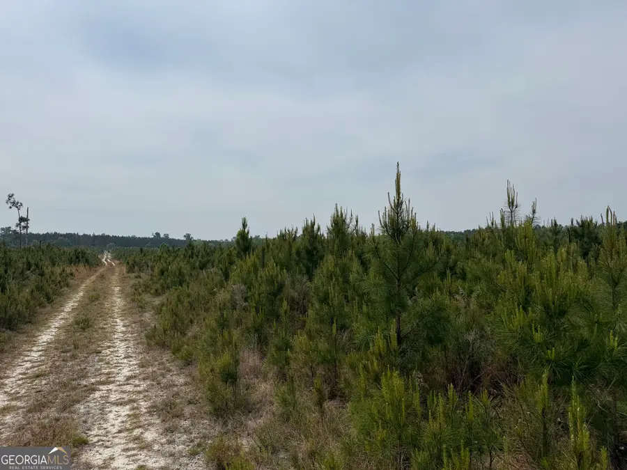 5 Cedar Grove, Dublin, GA 31021 - #3