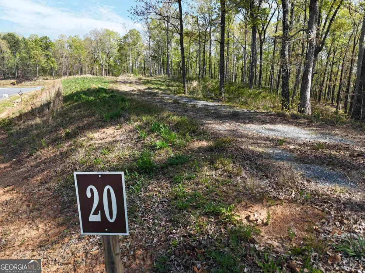 LT 20 Blalock Mountain Road, Ellijay, GA 30540 - #1