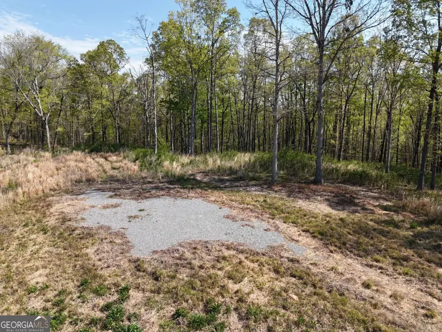 LT 20 Blalock Mountain Road, Ellijay, GA 30540 - #3