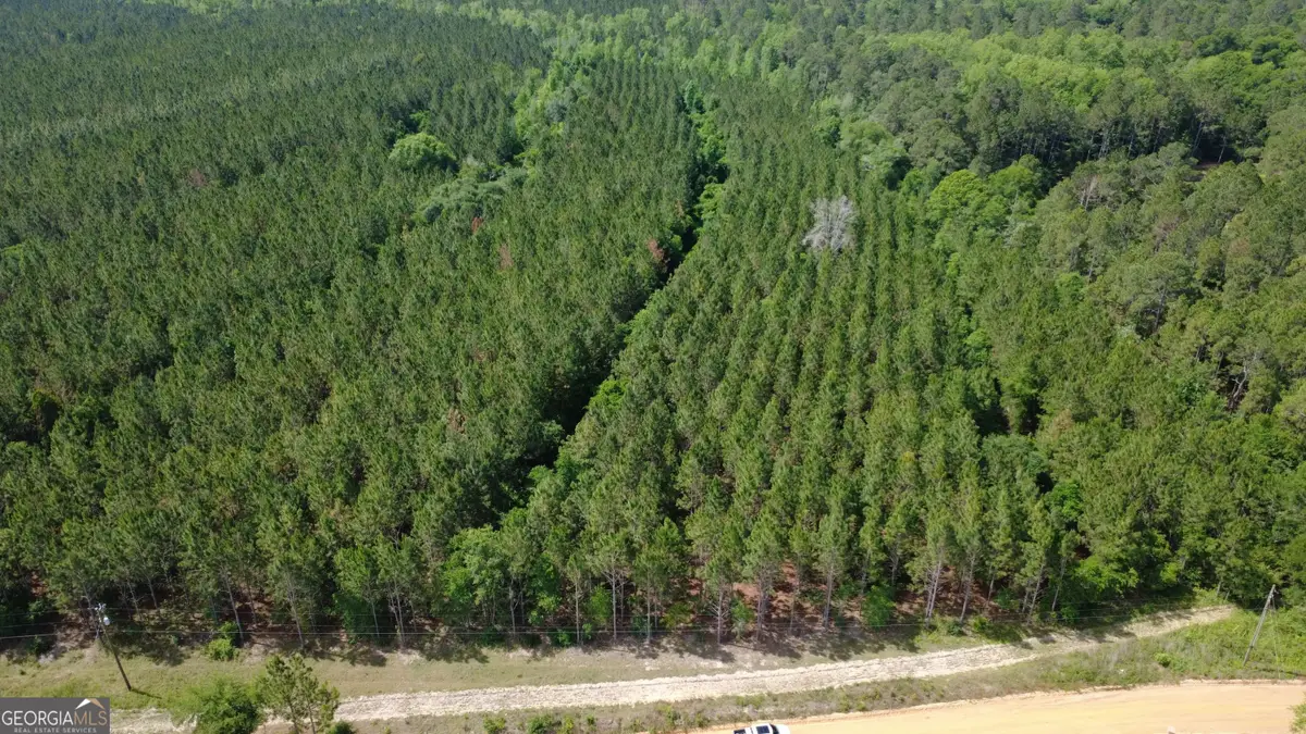 0 A L Reeve's Road, Fitzgerald, GA 31750 - #1