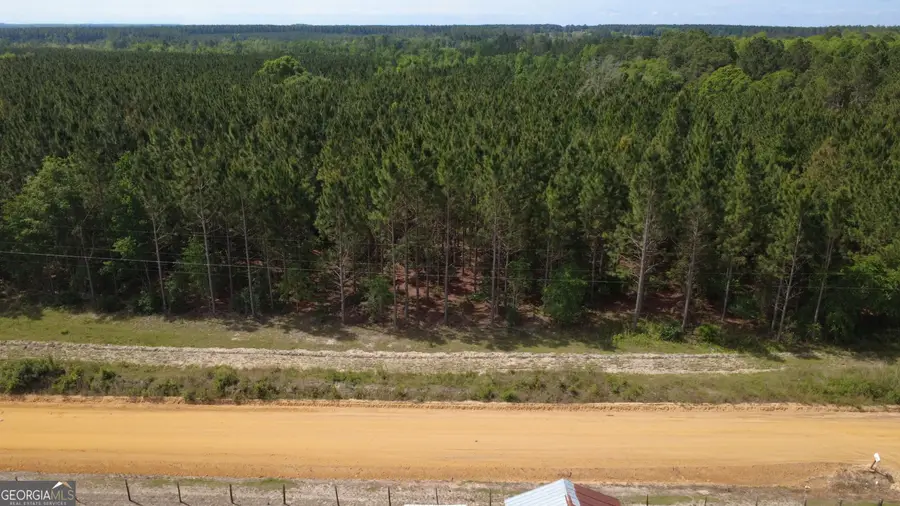 0 A L Reeve's Road, Fitzgerald, GA 31750 - #2