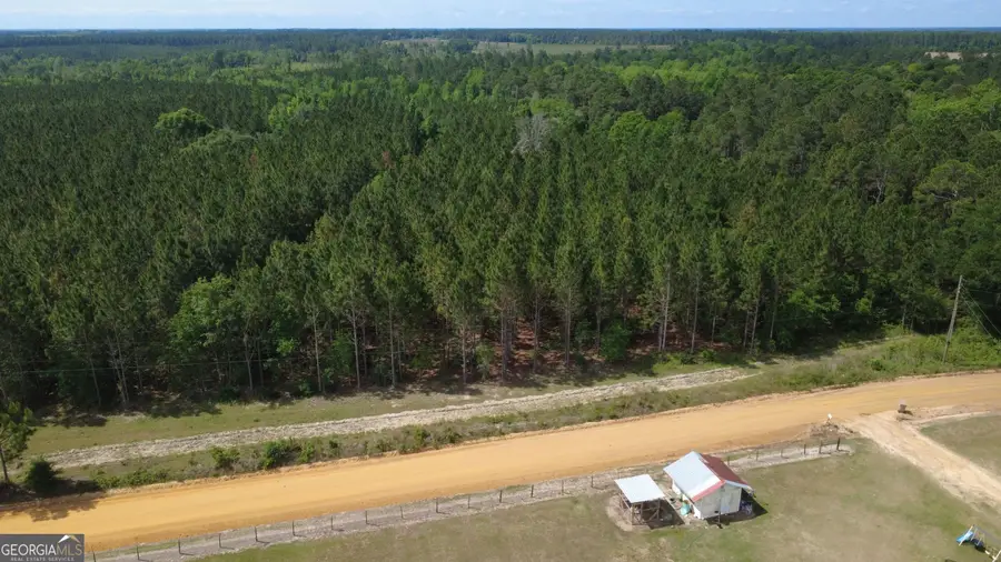 0 A L Reeve's Road, Fitzgerald, GA 31750 - #3