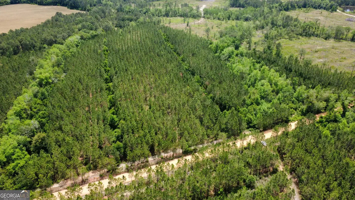 0 Sunflower Road, Fitzgerald, GA 31750 - #1