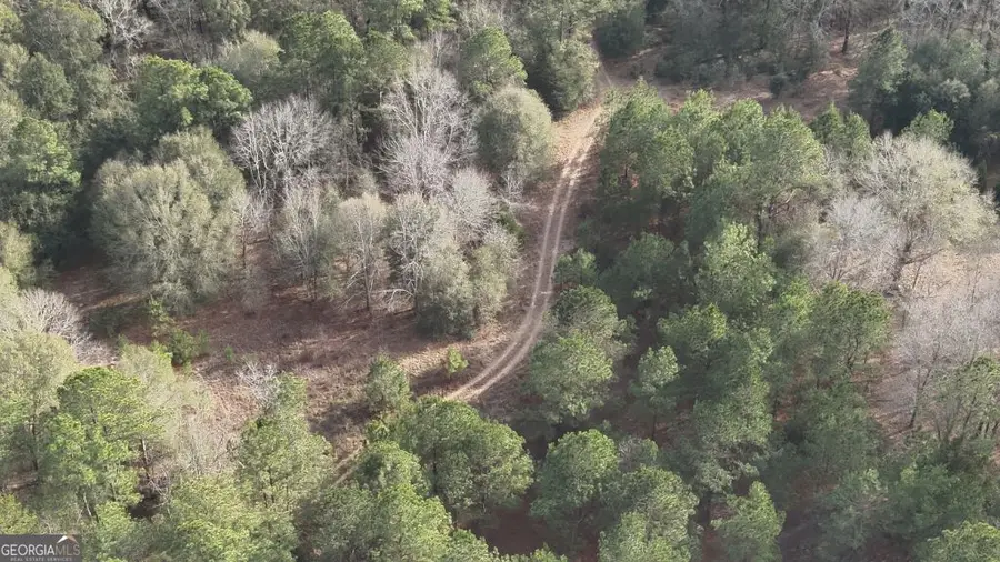 3 Country Club Road #LOT 3, Sylvania, GA 30467 - #3