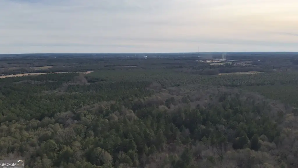 6 Country Club Road #LOT 6, Sylvania, GA 30467 - #1