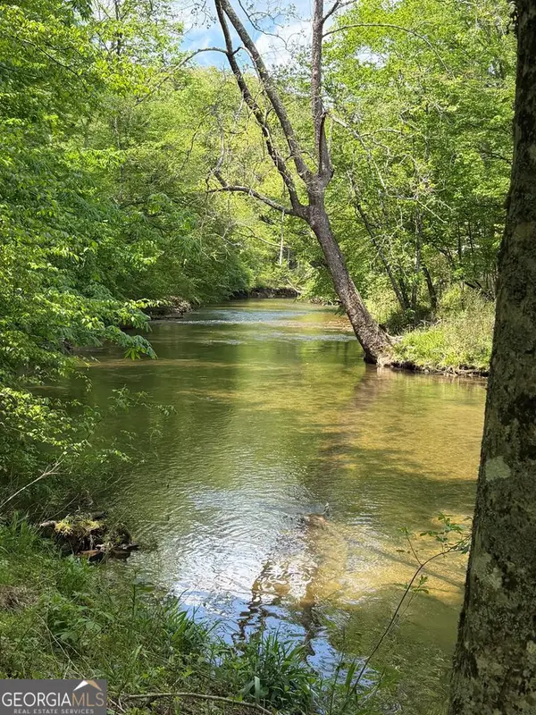 9.8 AC Brown Mountain, Suches, GA 30572