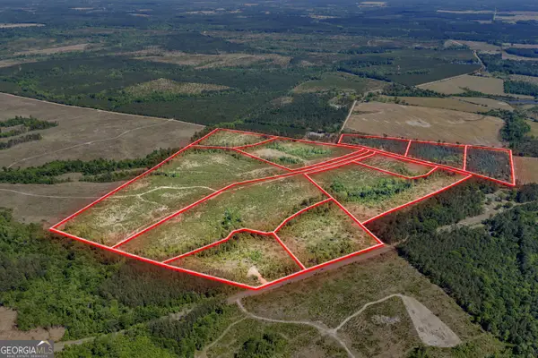 0 Cedar Grove Lots Road, Dublin, GA 31021