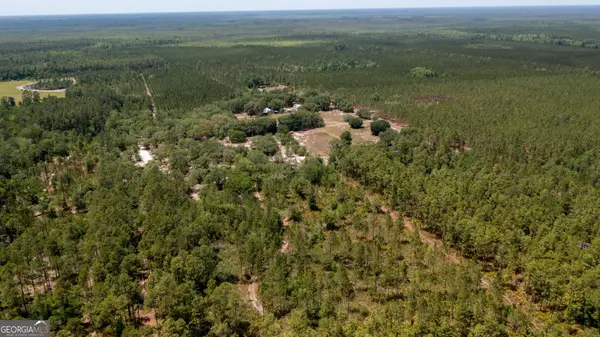 779 Ralph Davis Road #1 LAND LOT, Folkston, GA 31537
