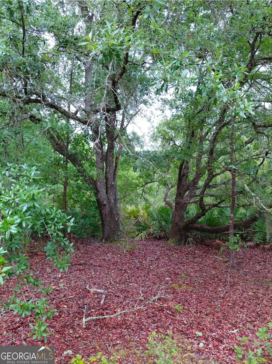 779 Ralph Davis Road #1 LAND LOT, Folkston, GA 31537 - #3