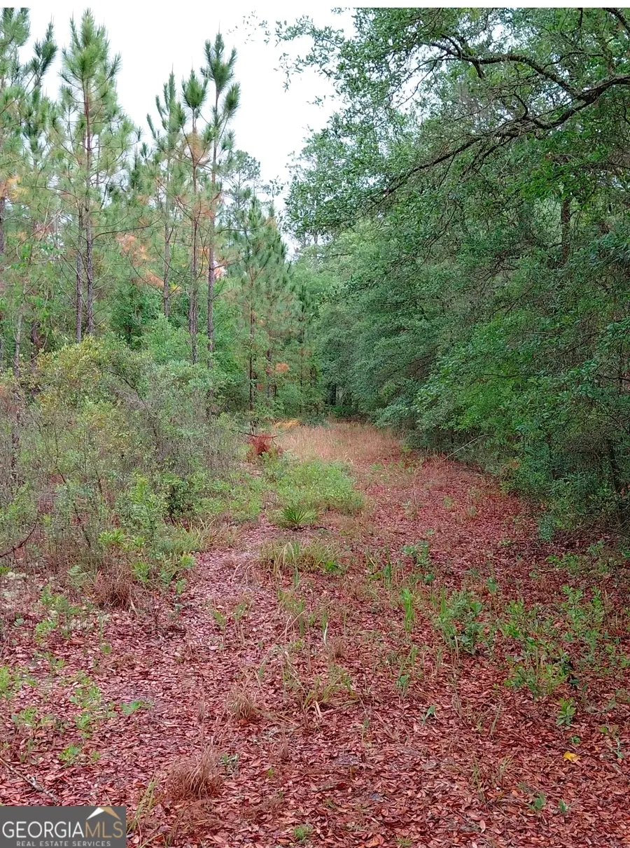 779 Ralph Davis Road, Folkston, GA 31537 - #2