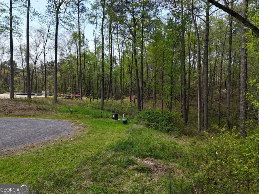 LT 36R Hilton Drive, Ellijay, GA 30540 - #3
