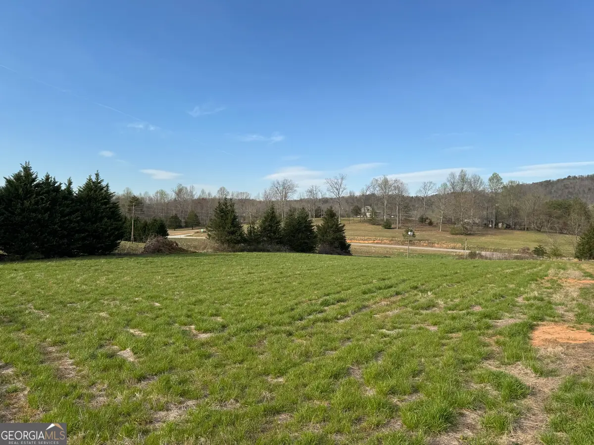 308 Amys Creek Road, Clarkesville, GA 30523 - #1