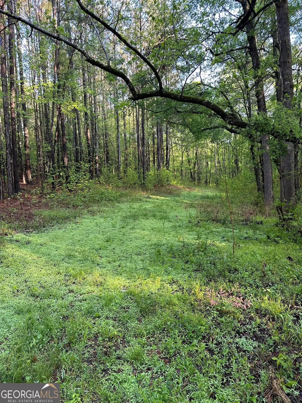 1433 Cleveland Farm Road, Locust Grove, GA 30248 - #1