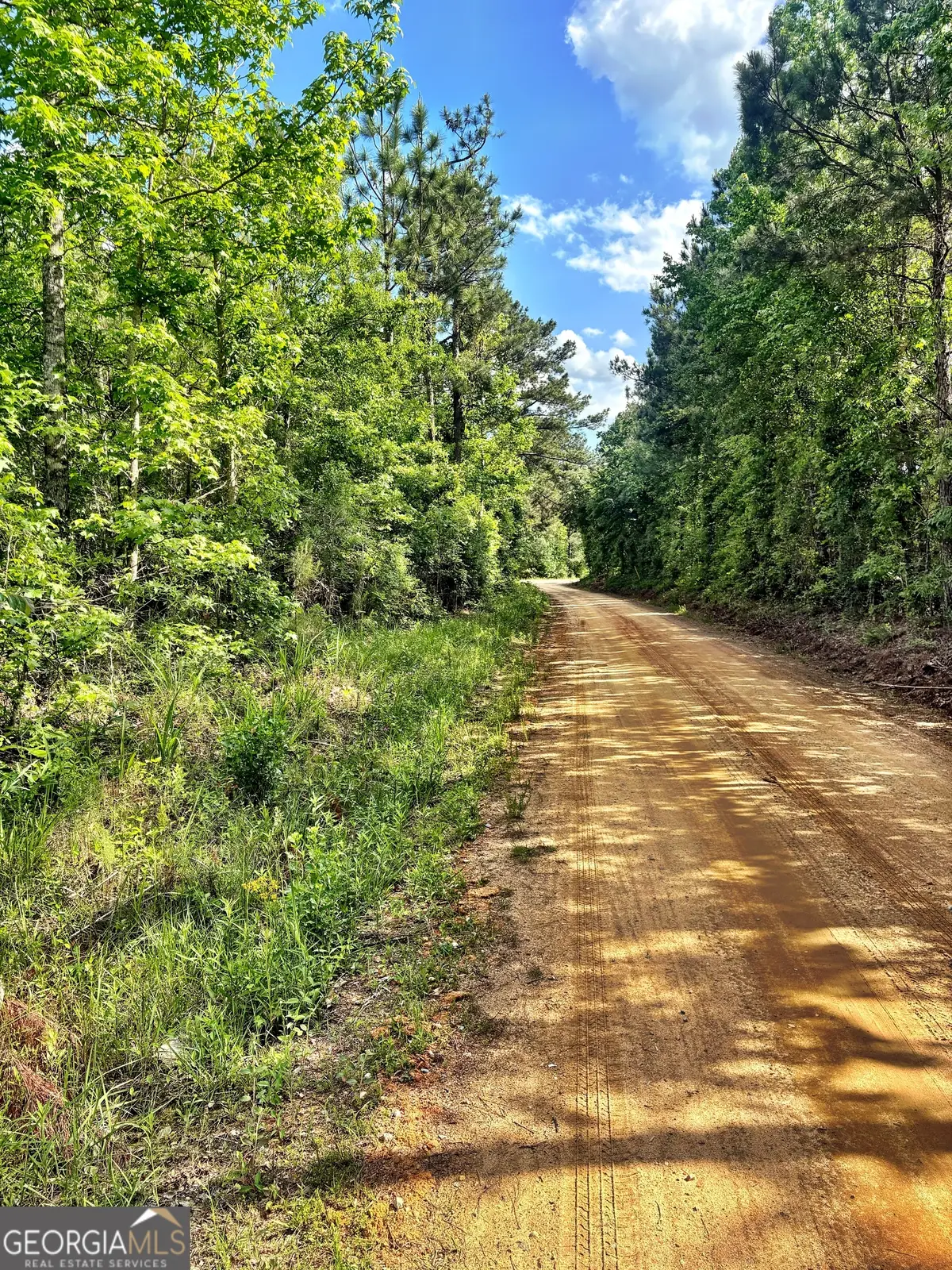 O Johnson Road, Musella, GA 31066 - #1