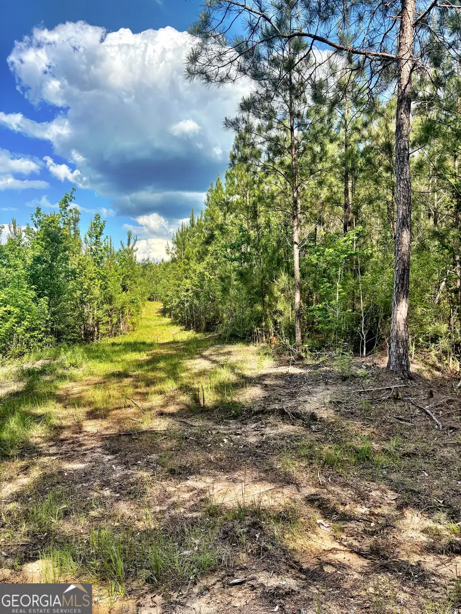 O Johnson Road, Musella, GA 31066 - #2