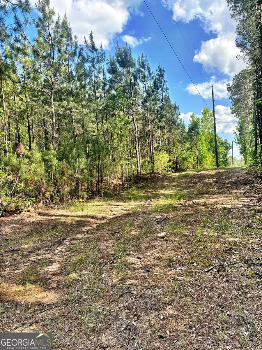 O Johnson Road, Musella, GA 31066 - #3