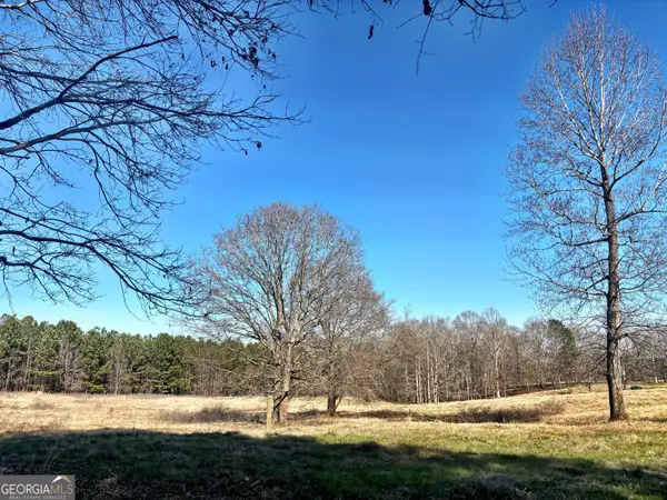 0 Torbet Road, Juliette, GA 31046
