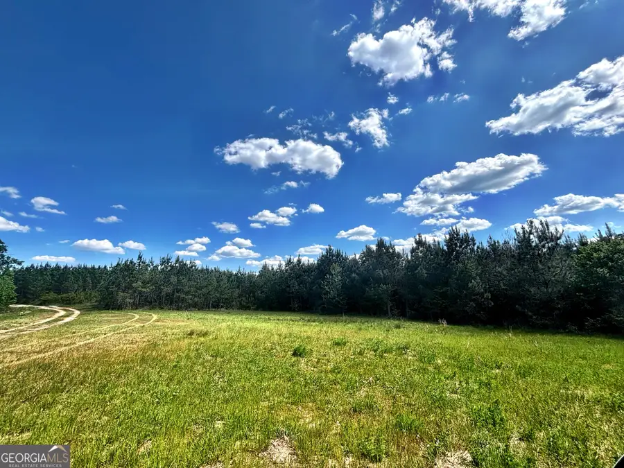 O Wilson Way, Musella, GA 31066 - #2